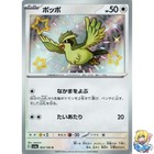 Pidgey