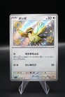 Pidgey