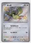 Pidgey