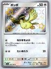 Pidgey