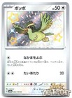 Pidgey