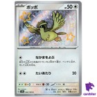 Pidgey