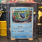 Sharpedo