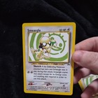 Smeargle