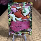 Florges EX