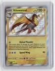 Kilowattrel