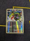 Rayquaza C