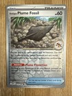 Antique Plume Fossil