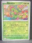 Maractus