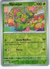 Maractus