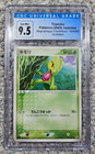 Treecko