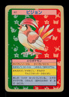 Pidgeotto