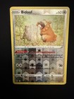 Bidoof