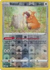 Bidoof
