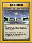 Cerulean City Gym