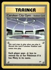Cerulean City Gym