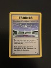 Cerulean City Gym