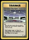 Cerulean City Gym