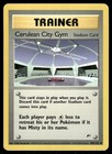 Cerulean City Gym