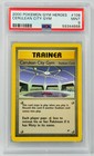 Cerulean City Gym