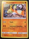 Passimian