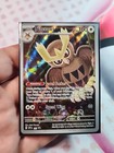 Noctowl