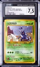 Heracross