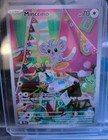 Minccino