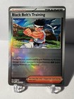 Black Belt's Training