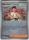 Black Belt's Training