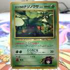 Tamamushi Erika City Gym Theme Deck