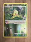 Turtwig