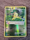 Turtwig
