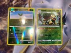 Turtwig