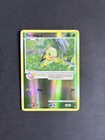 Turtwig