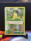 Turtwig
