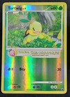 Turtwig