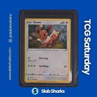 Eevee 3-Pack Blister