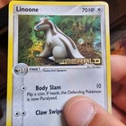 Linoone