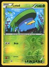 Lotad