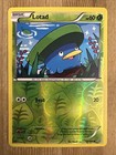 Lotad