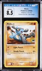 Riolu