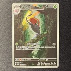 Accelgor