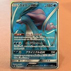 Suicune V