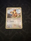 Teddiursa
