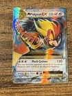 M Pidgeot EX