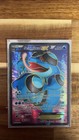 Seismitoad EX