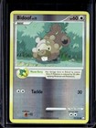 Bidoof