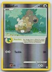 Bidoof