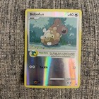 Bidoof
